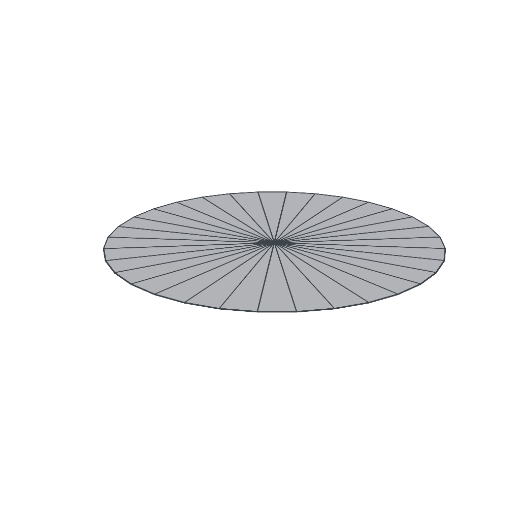 Disk